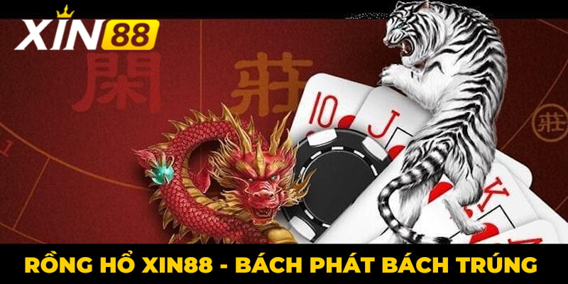 cách chơi rồng hổ